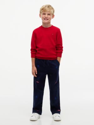 Детские брюки Tommy Hilfiger Allover Varsity Flag Sweatpant, цвет: Тёмно-синий — фото 2