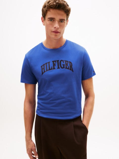 Мужские футболки Tommy Hilfiger Hilfiger Arch Logo T-Shirt