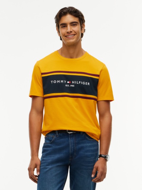 Мужские футболки Tommy Hilfiger Hilfiger Block Stripe Logo T-Shirt