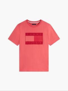 Tonal Flag Logo T-Shirt — Coral 5