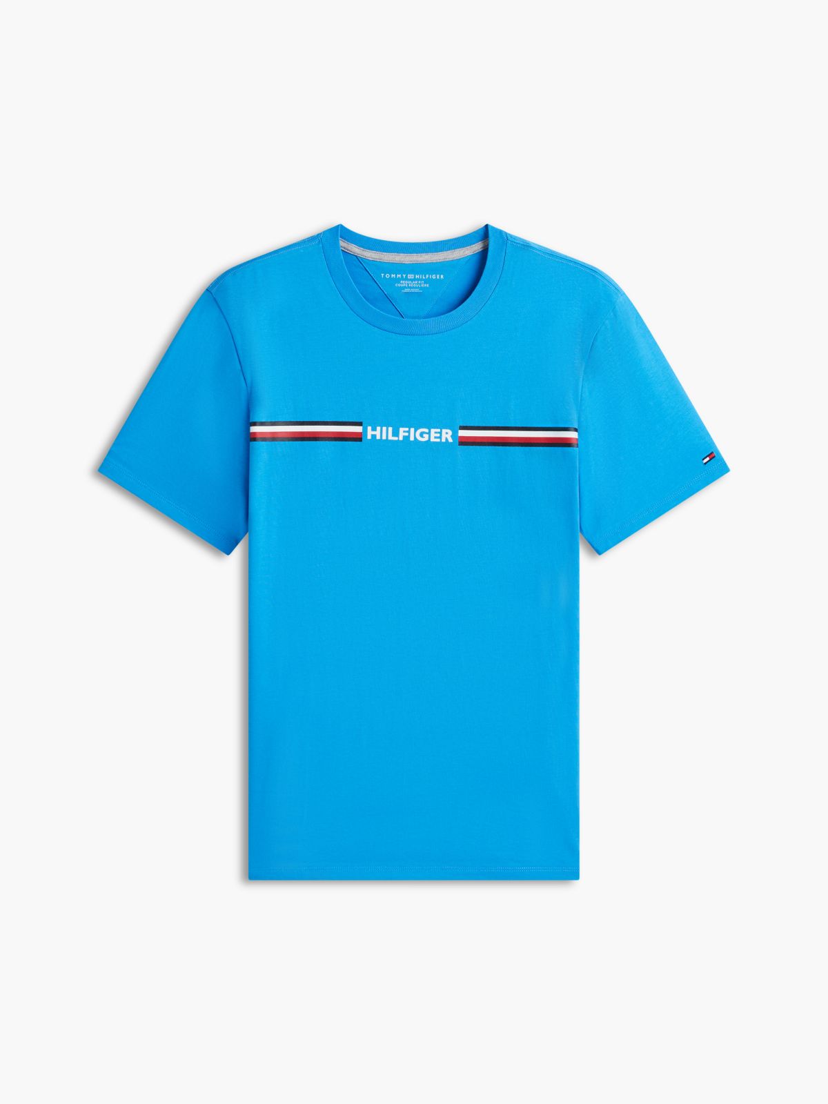 Hilfiger Signature Stripe Logo T-Shirt — Deep Sky Blue