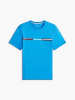 Hilfiger Signature Stripe Logo T-Shirt — Deep Sky Blue 5