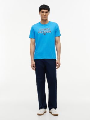 Мужские футболки Tommy Hilfiger Bold Tommy 1985 Logo T-Shirt — фото 2