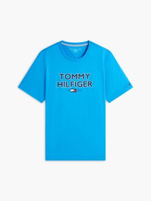 Мужские футболки Tommy Hilfiger Bold Tommy 1985 Logo T-Shirt — фото 5