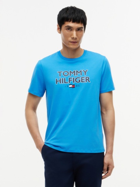 Мужские футболки Tommy Hilfiger Bold Tommy 1985 Logo T-Shirt