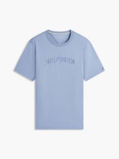 Embroidered Arch Logo T-Shirt — Brisk Blue 5