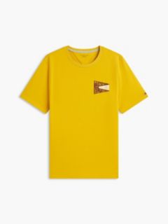 Varsity Flag Logo T-Shirt — Countryside Yellow 5