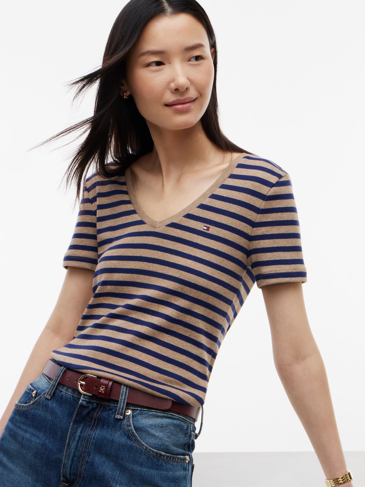 V-Neck Striped Favorite T-Shirt — Brown/Navy Stripe
