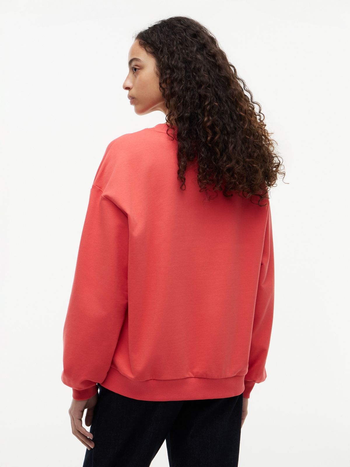 Flag Logo Sweatshirt — Vintage Red